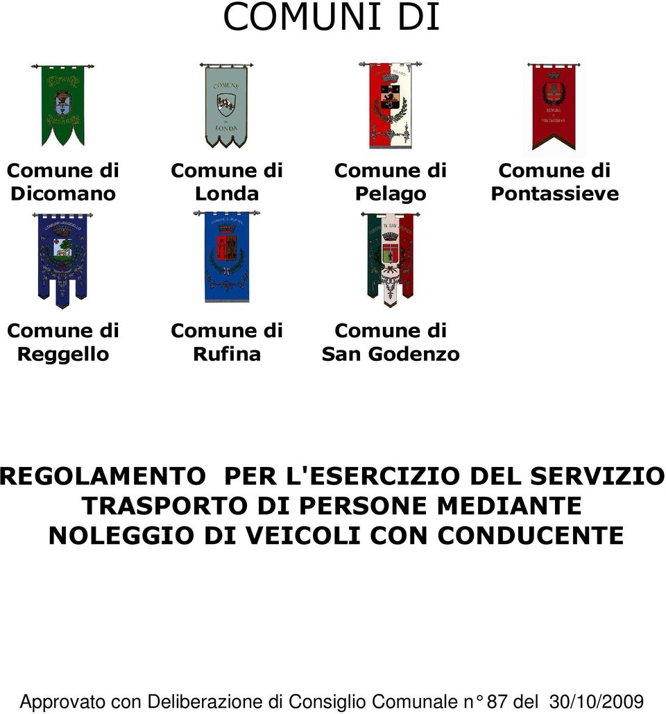 REGOLAMENTO PER L'ESERCIZIO DEL SERVIZIO TRASPORTO DI PERSONE MEDIANTE NOLEGGIO