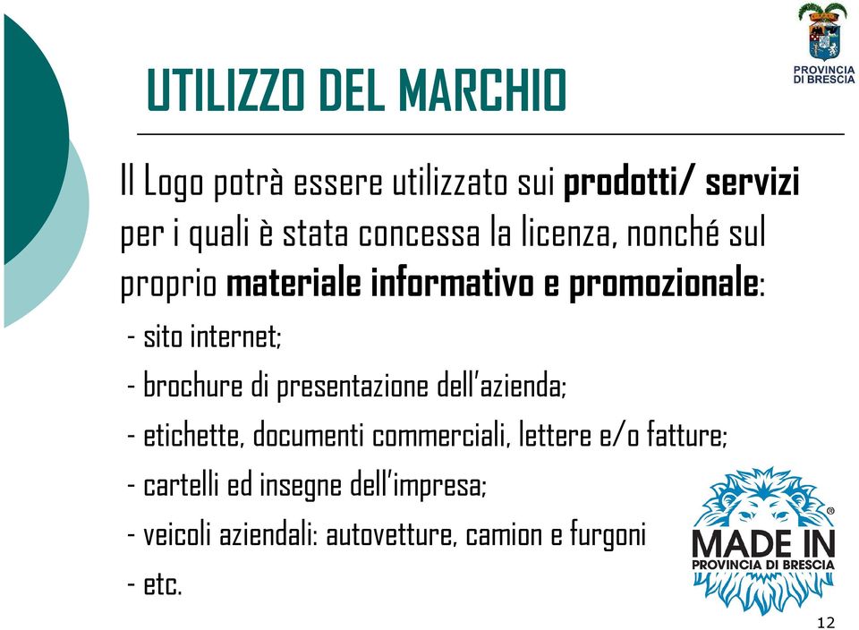 brochure di presentazione dell azienda; - etichette, documenti commerciali, lettere e/o fatture;