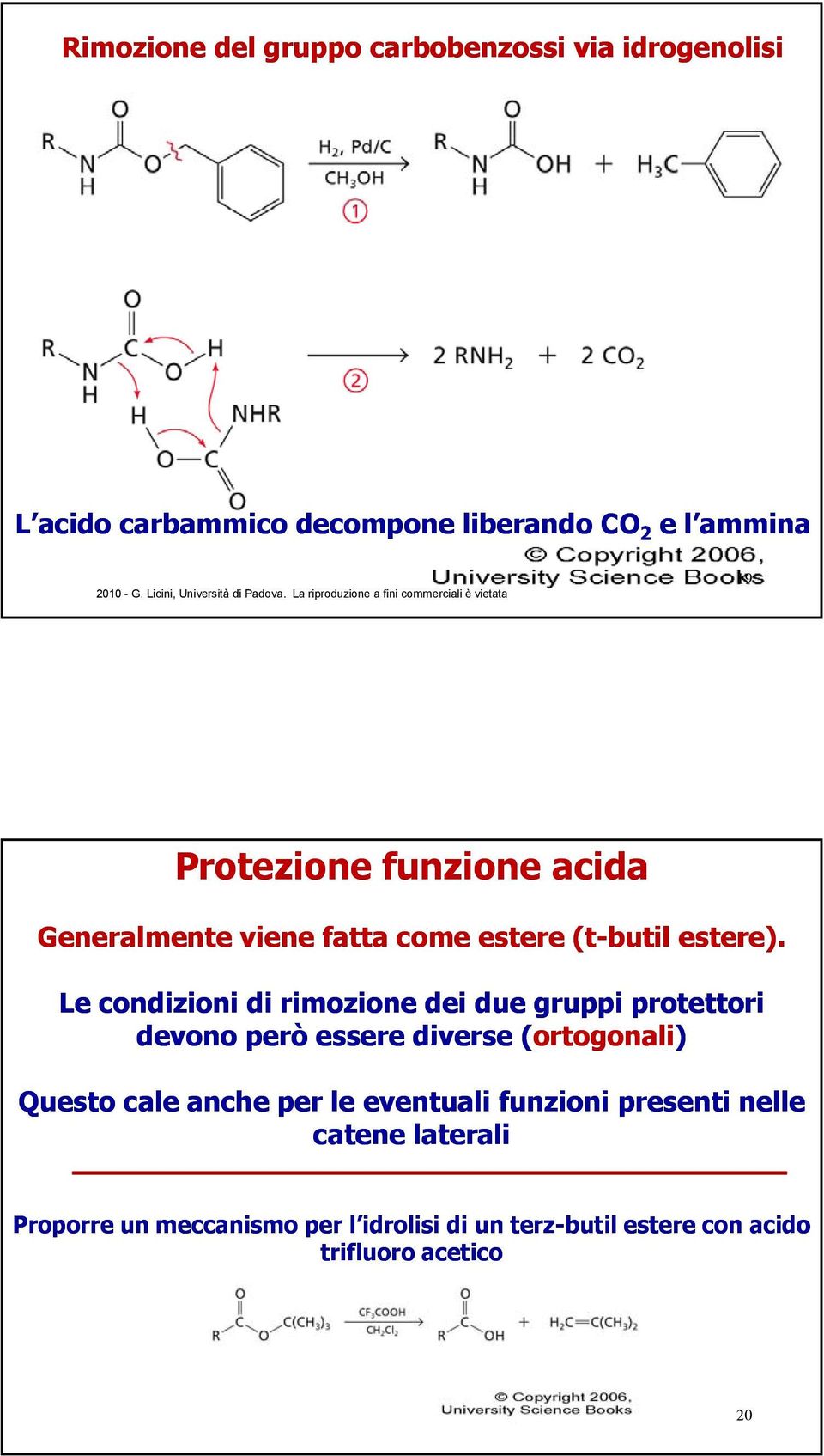 Le condizioni di rimozione dei due gruppi protettori devono però essere diverse (ortogonali) Questo cale anche