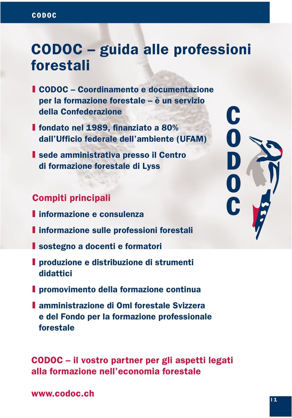 informazione sulle professioni forestali sostegno a docenti e formatori produzione e distribuzione di strumenti didattici promovimento della formazione continua