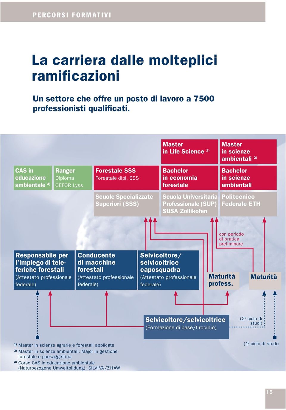 SSS Bachelor in economia forestale Bachelor in scienze ambientali Scuole Specializzate Superiori (SSS) Scuola Universitaria Professionale (SUP) SUSA Zollikofen Politecnico Federale ETH con periodo di