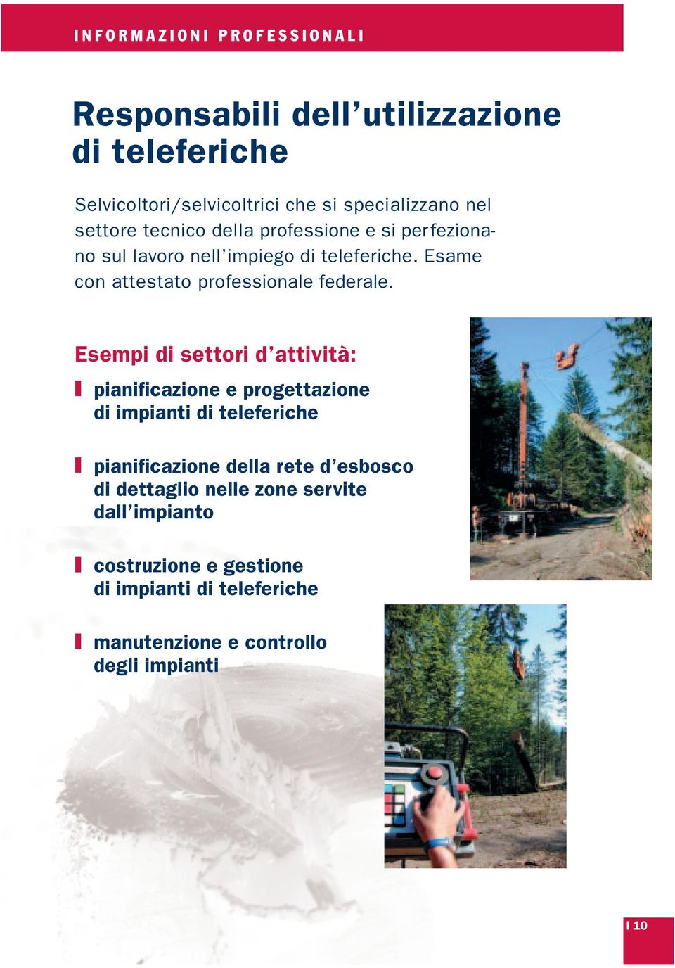 Esempi di settori d attività: pianificazione e progettazione di impianti di teleferiche pianificazione della rete d esbosco