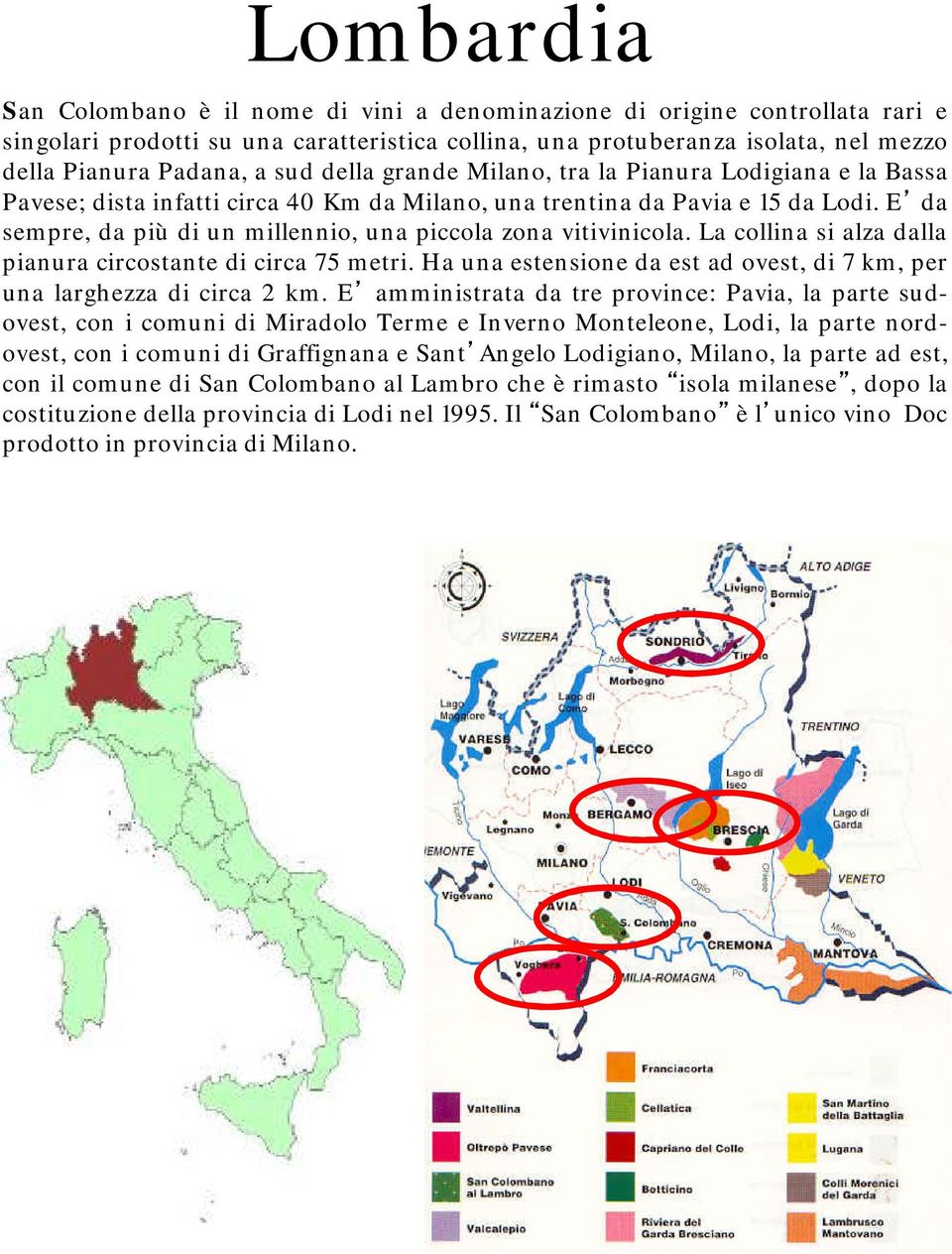 E da sempre, da più di un millennio, una piccola zona vitivinicola. La collina si alza dalla pianura circostante di circa 75 metri.