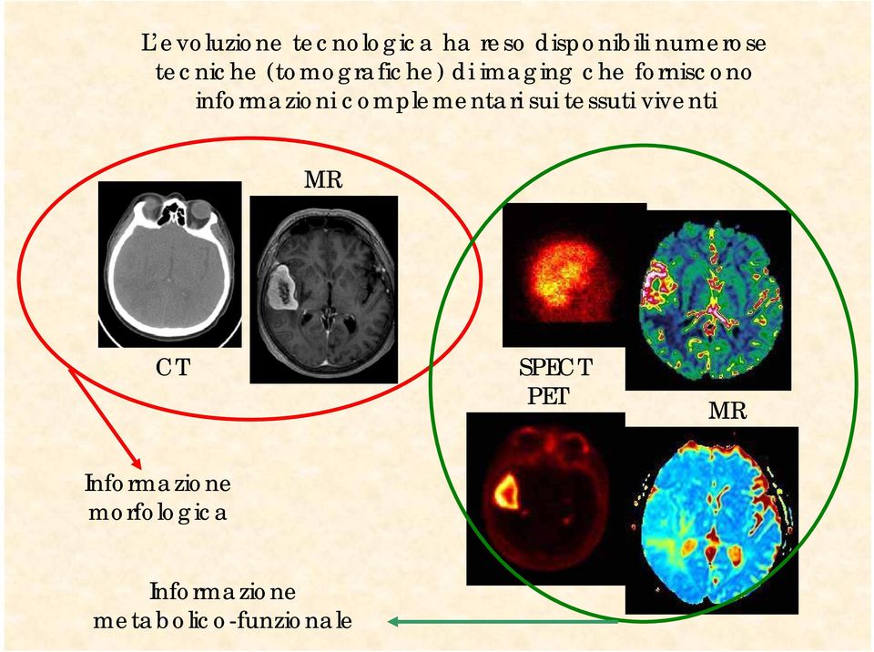 informazioni complementari sui tessuti viventi MR CT