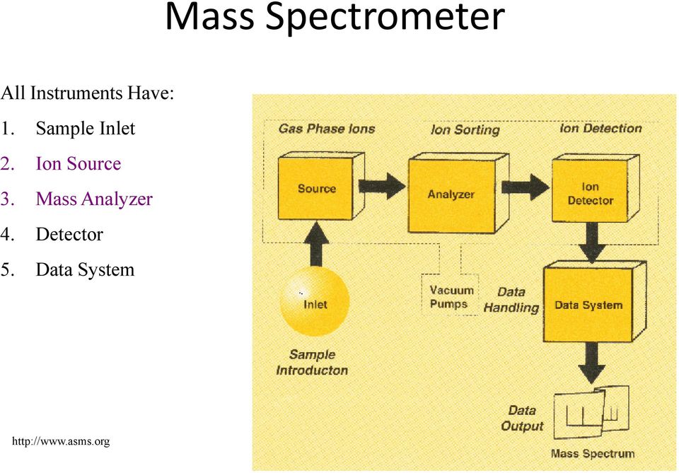 Ion Source 3. Mass Analyzer 4.