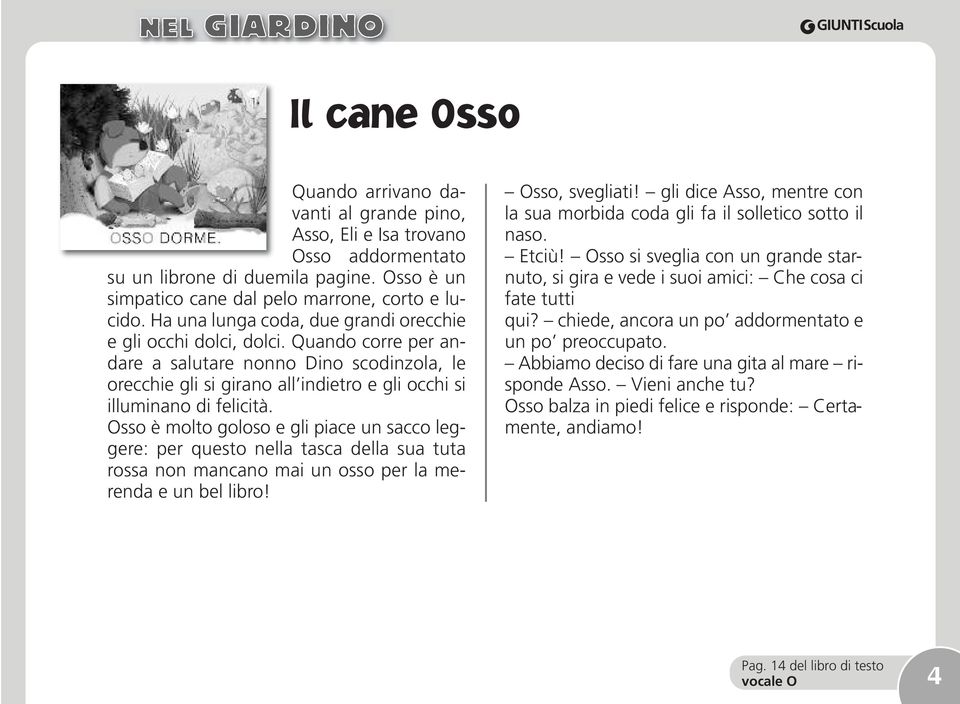 Osso è molto goloso e gli piace un sacco leggere: per questo nella tasca della sua tuta rossa non mancano mai un osso per la merenda e un bel libro! Osso, svegliati!