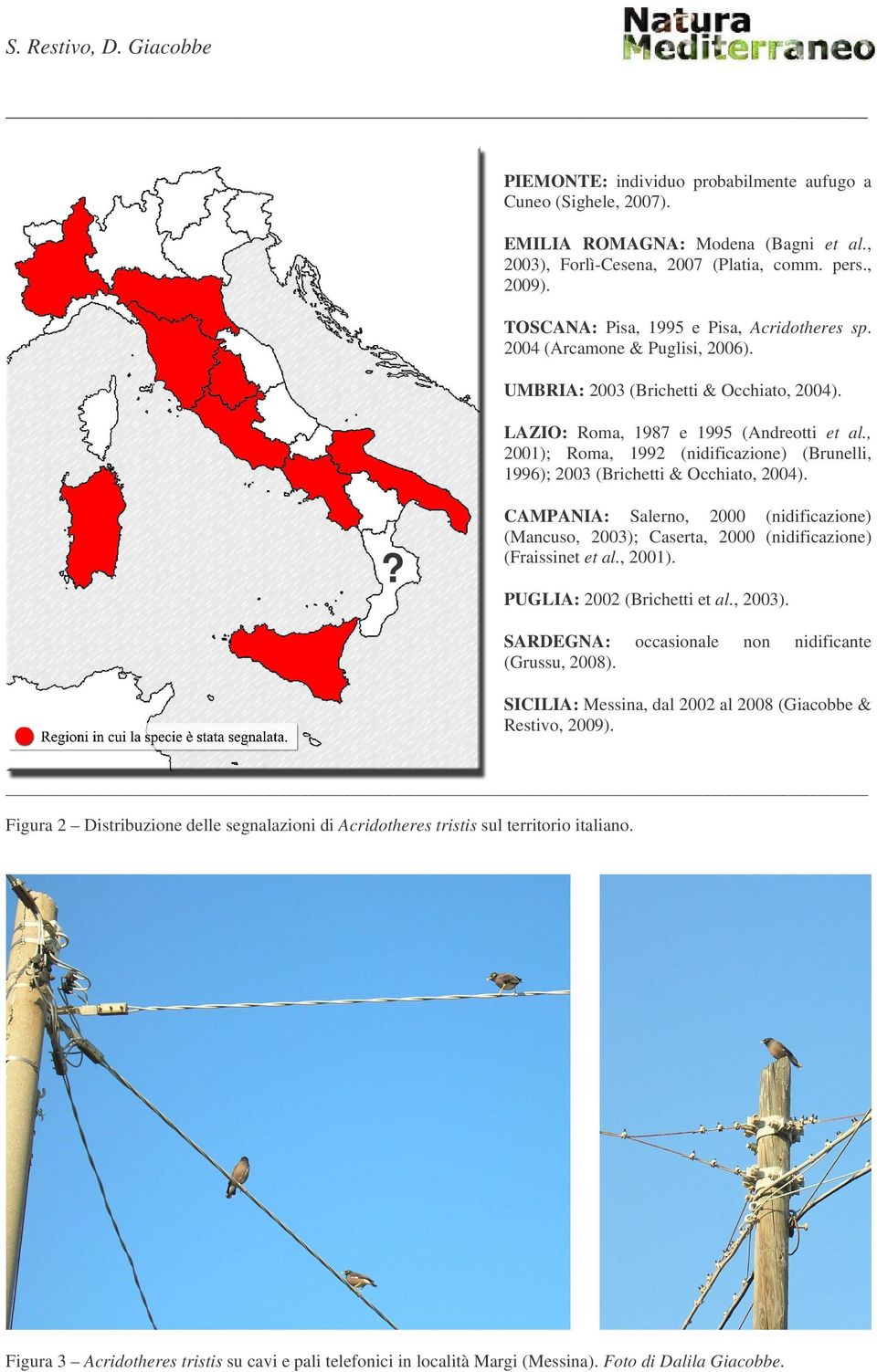 , 2001); Roma, 1992 (nidificazione) (Brunelli, 1996); 2003 (Brichetti & Occhiato, 2004).? CAMPANIA: Salerno, 2000 (nidificazione) (Mancuso, 2003); Caserta, 2000 (nidificazione) (Fraissinet et al.