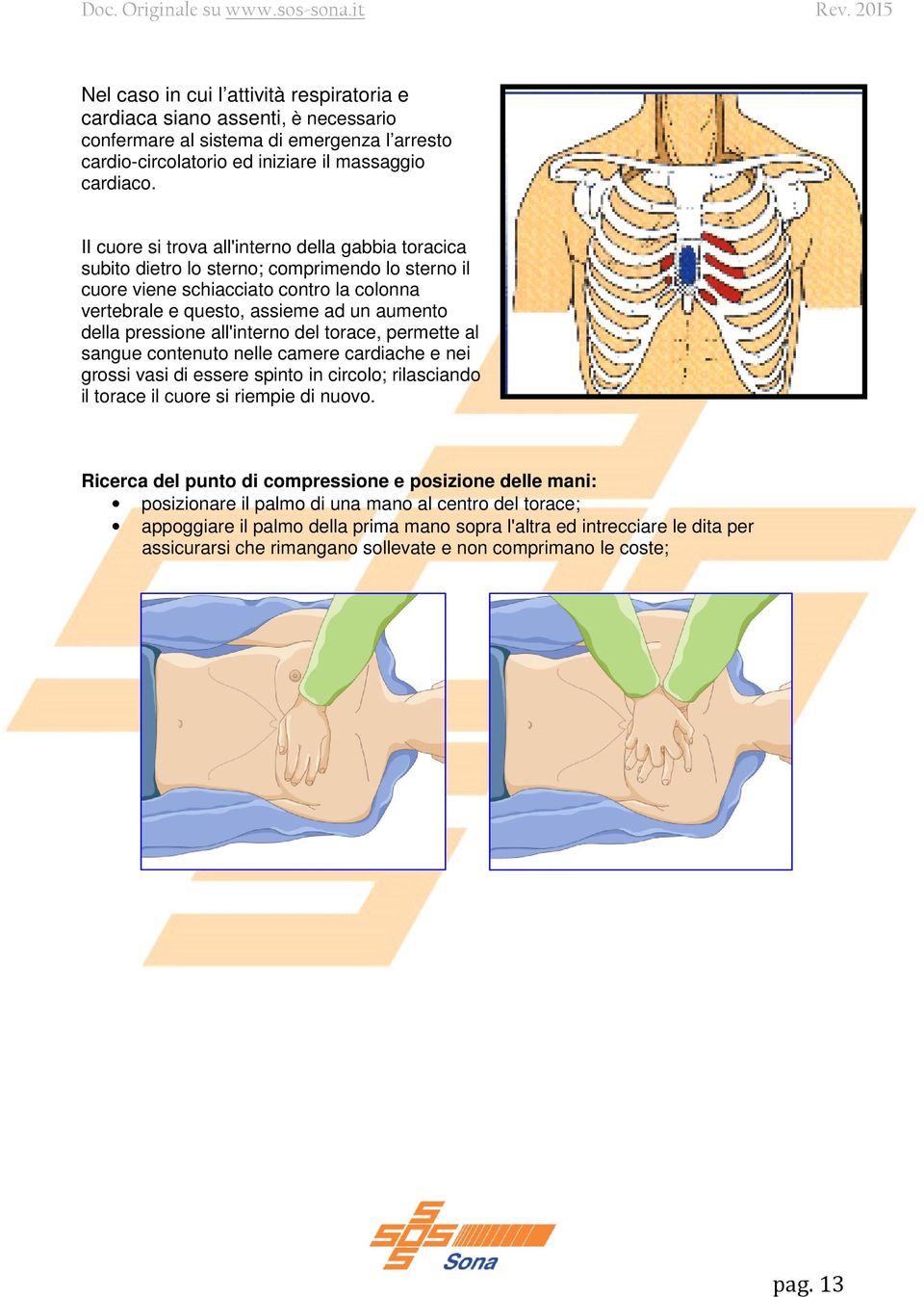 pressione all'interno del torace, permette al sangue contenuto nelle camere cardiache e nei grossi vasi di essere spinto in circolo; rilasciando il torace il cuore si riempie di nuovo.