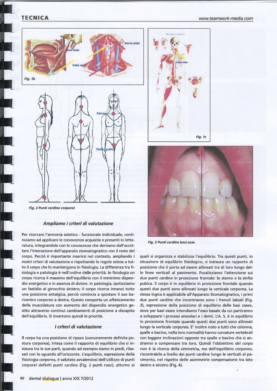 conoscenze che derivano dall'acceare l'inerazione dell'apparao somaognaico con il reso del corpo, Perciò è imporane inserirsi nel coneso, ampliando i nosri crieri di valuazione e rispeando le regole