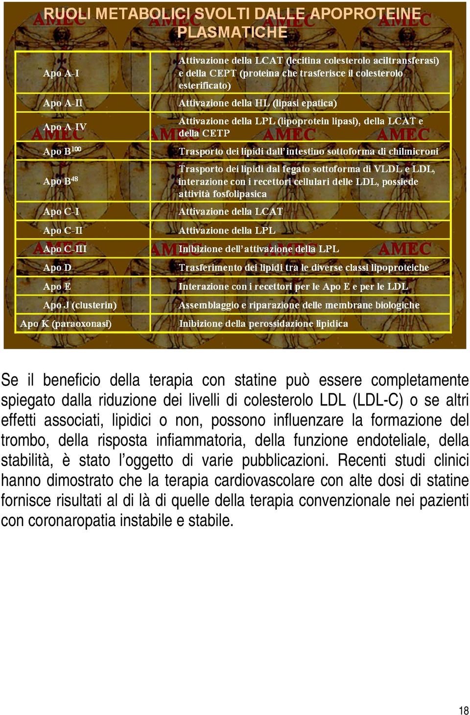 endoteliale, della stabilità, è stato l oggetto di varie pubblicazioni.