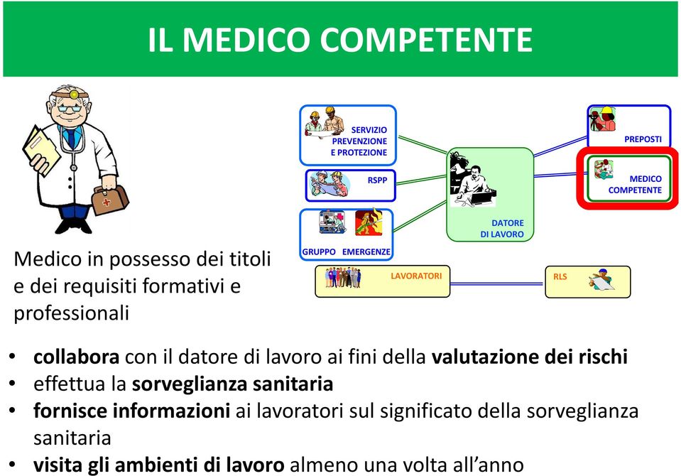 il datore di lavoro ai fini della valutazione dei rischi effettua la sorveglianza sanitaria fornisce