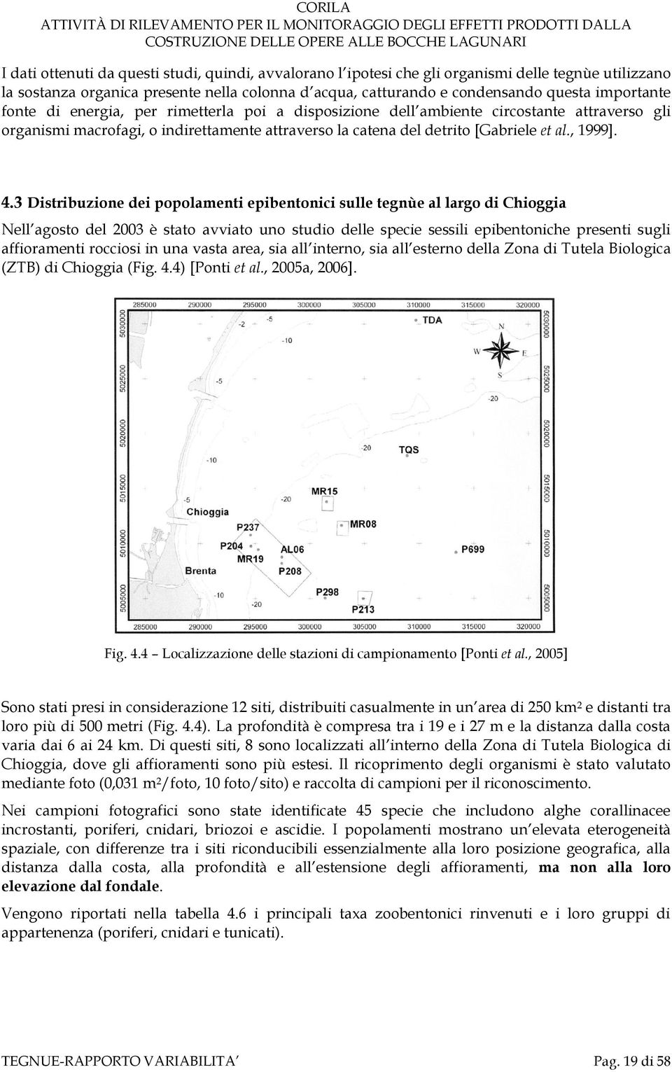 3 Distribuzione dei popolamenti epibentonici sulle tegnùe al largo di Chioggia Nell agosto del 2003 è stato avviato uno studio delle specie sessili epibentoniche presenti sugli affioramenti rocciosi