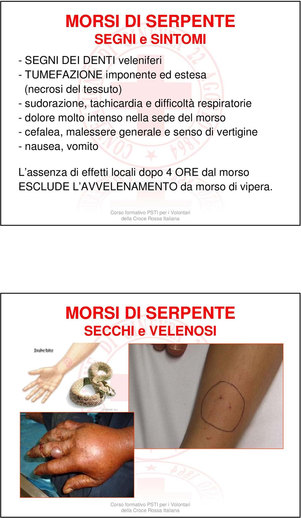 nella sede del morso - cefalea, malessere generale e senso di vertigine - nausea, vomito L assenza di