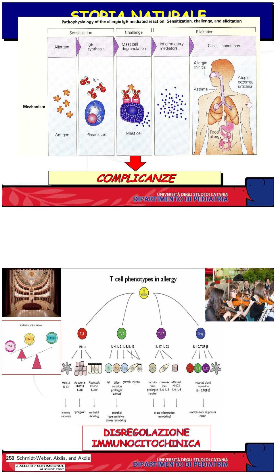 EVOLUZIONE CLINICA ATOPIA