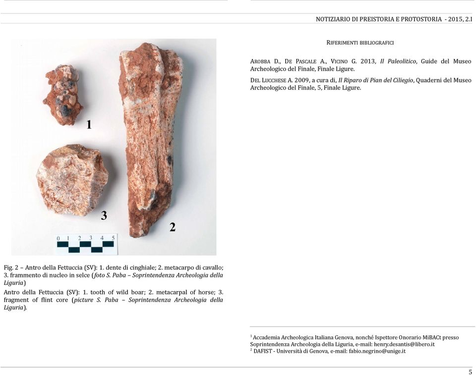 frammento di nucleo in selce (foto S. Paba Soprintendenza Archeologia della Liguria) Antro della Fettuccia (SV): 1. tooth of wild boar; 2. metacarpal of horse; 3. fragment of flint core (picture S.