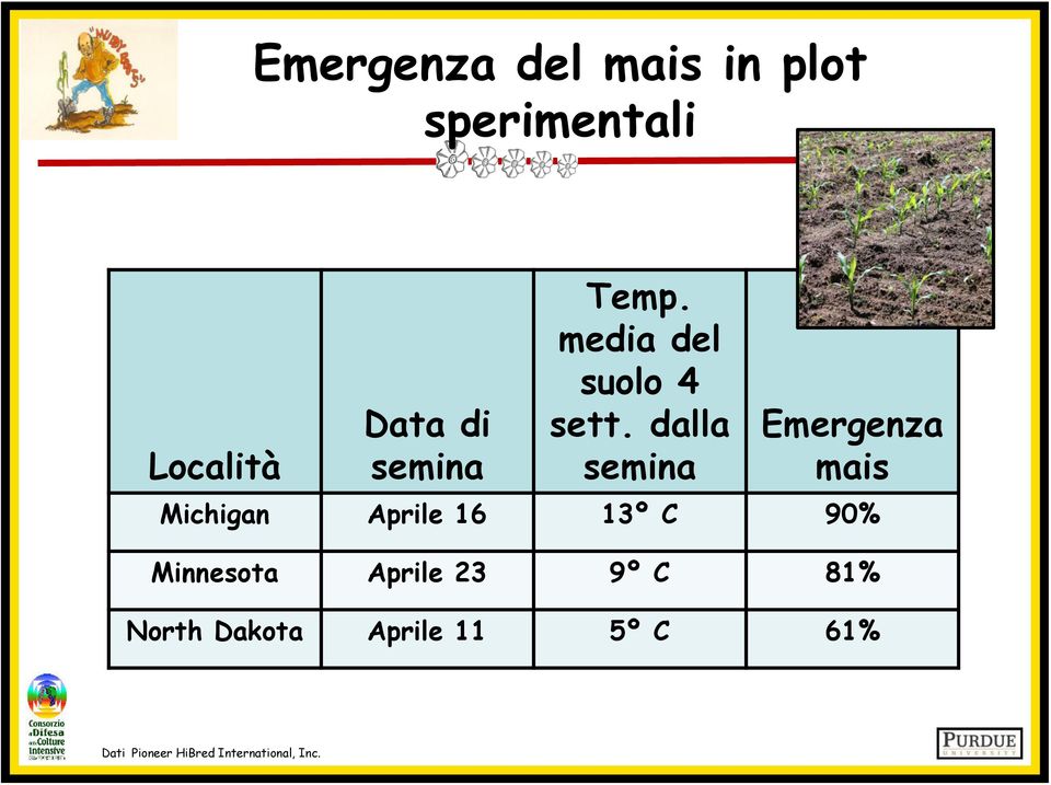 dalla semina Emergenza mais Michigan Aprile 16 13º C 90%