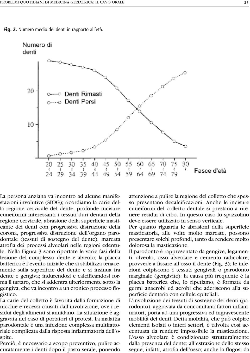 della regione cervicale, abrasione della superficie masticante dei denti con progressiva distruzione della corona, progressiva distruzione dell organo parodontale (tessuti di sostegno del dente),