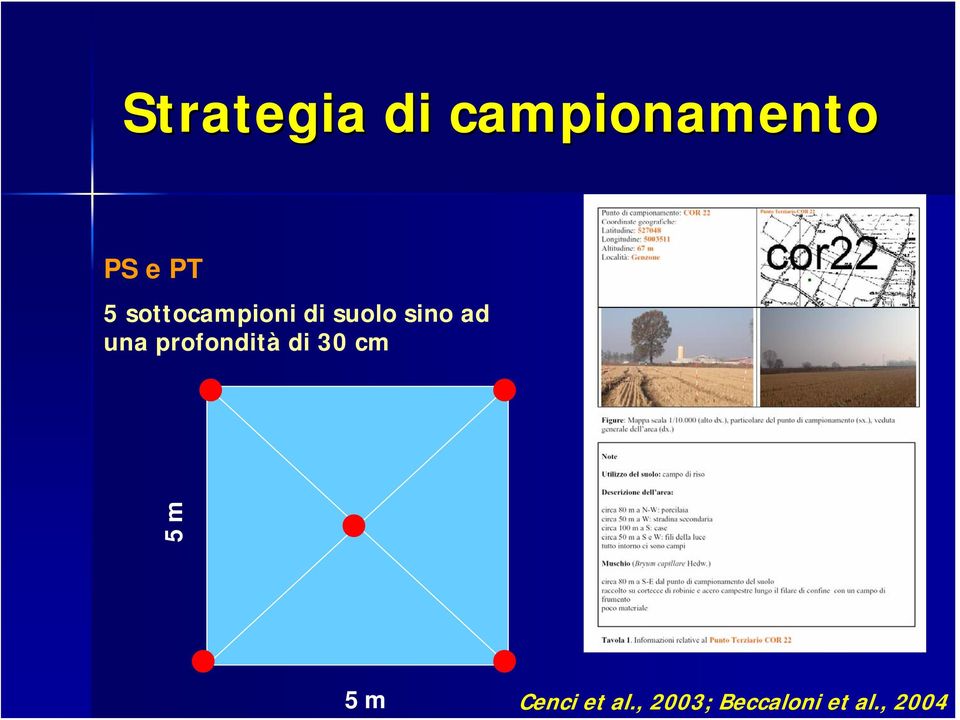 una profondità di 30 cm 5 m 5 m