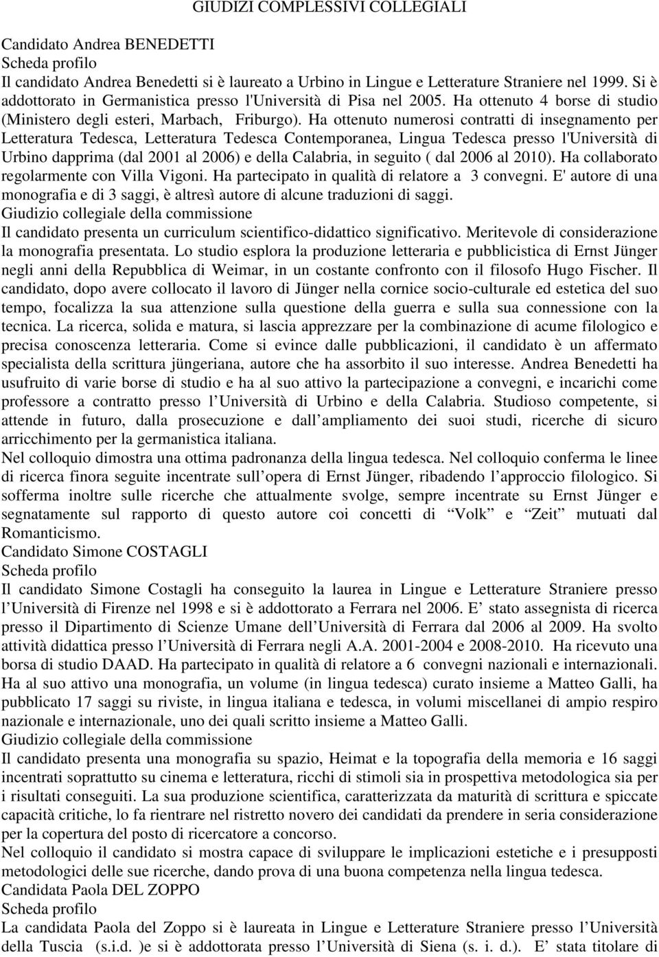 Ha ottenuto numerosi contratti di insegnamento per Letteratura Tedesca, Letteratura Tedesca Contemporanea, Lingua Tedesca presso l'università di Urbino dapprima (dal 2001 al 2006) e della Calabria,