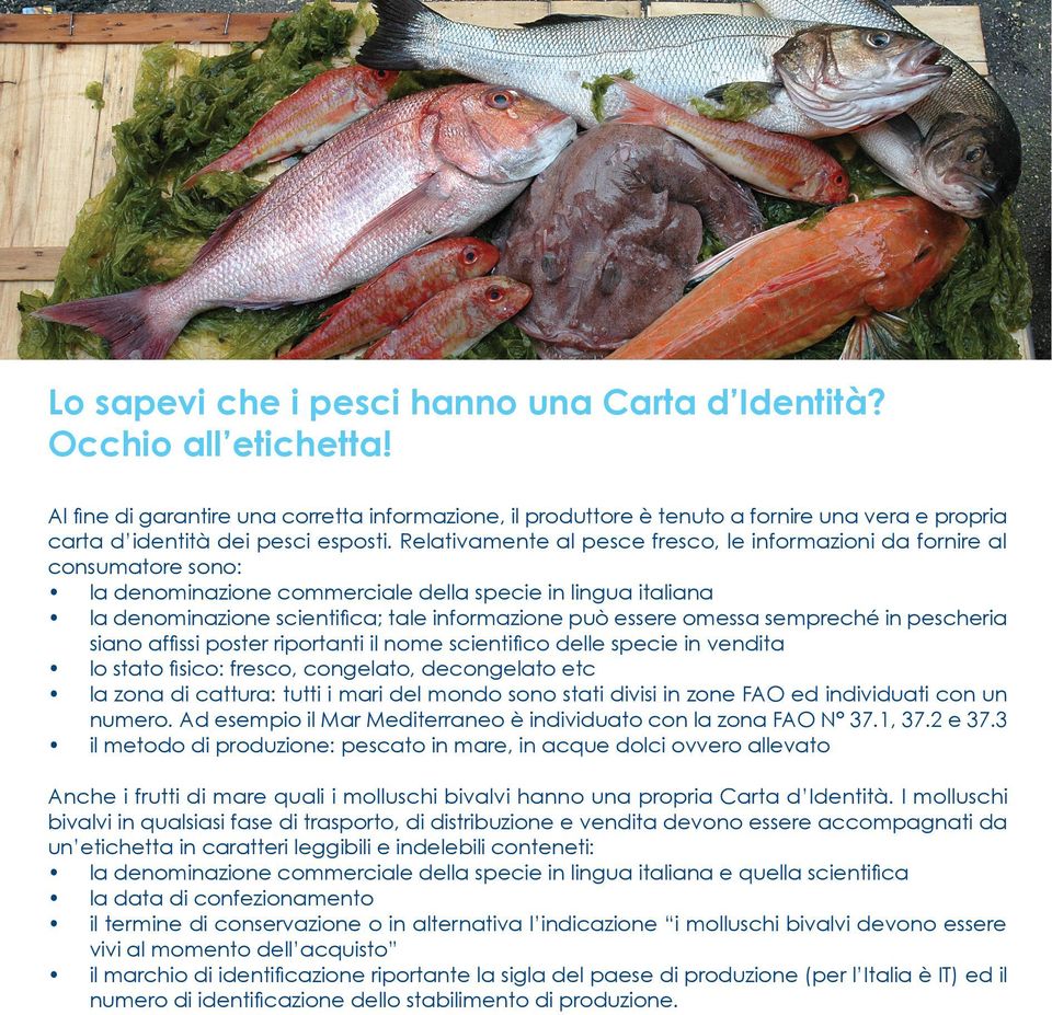 Relativamente al pesce fresco, le informazioni da fornire al consumatore sono: la denominazione commerciale della specie in lingua italiana la denominazione scientifica; tale informazione può essere