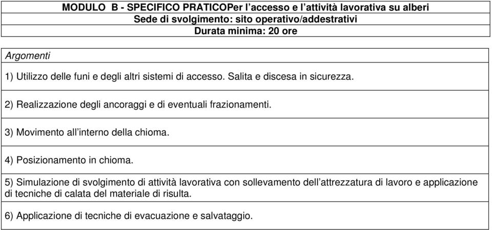 2) Realizzazione degli ancoraggi e di eventuali frazionamenti. 3) Movimento all interno della chioma. 4) Posizionamento in chioma.