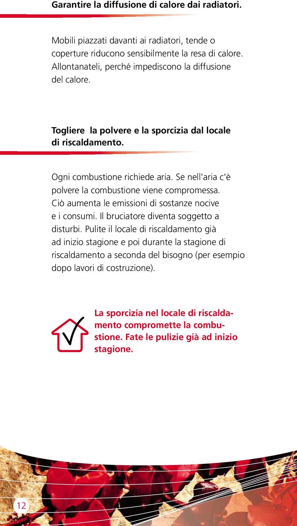 Se nell'aria c'è polvere la combustione viene compromessa. Ciò aumenta le emissioni di sostanze nocive e i consumi. Il bruciatore diventa soggetto a disturbi.