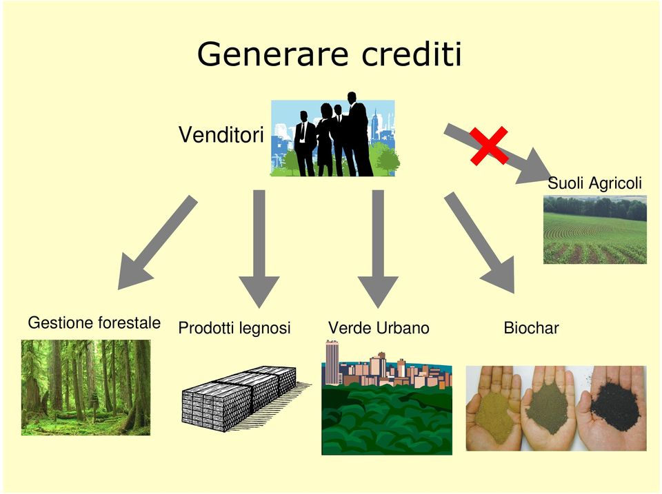 Gestione forestale