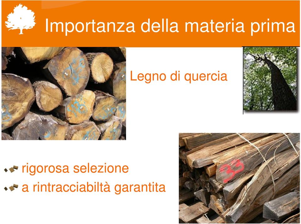 quercia rigorosa