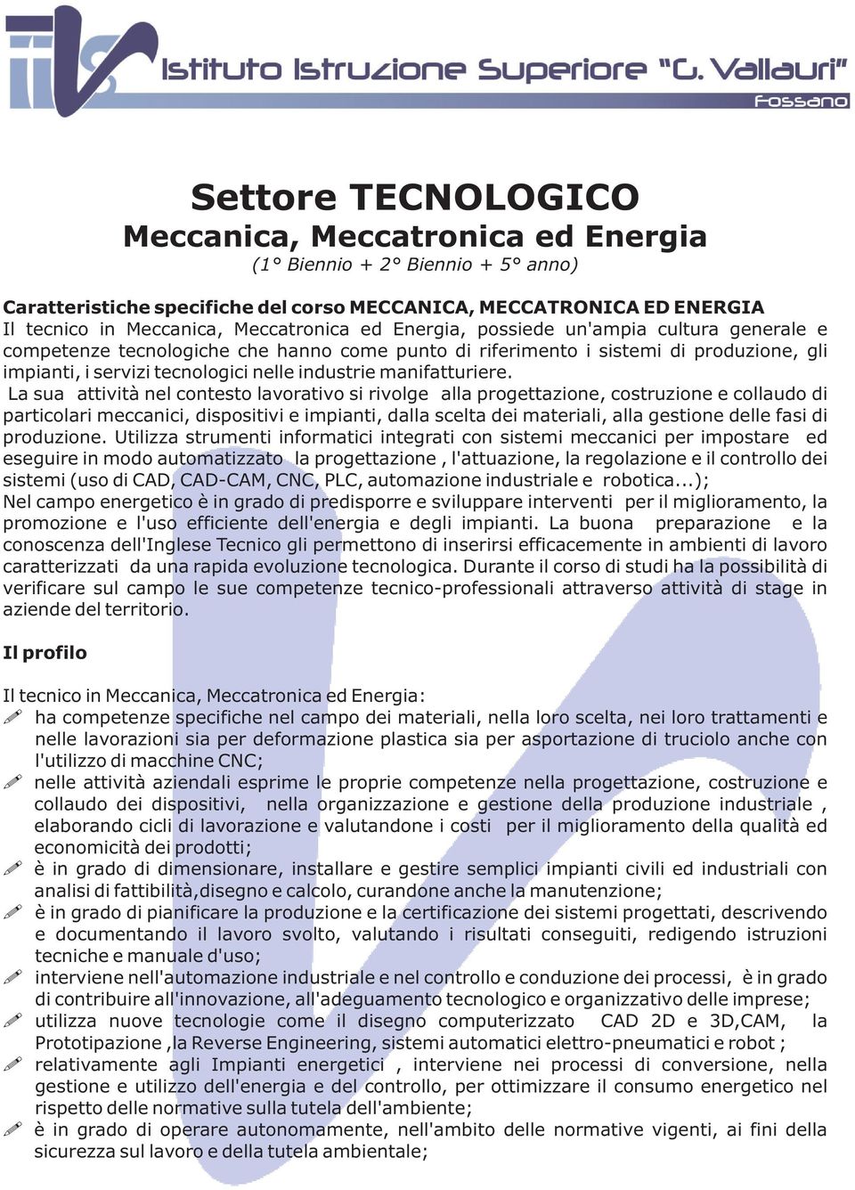 La sua attività nel contesto lavorativo si rivolge alla progettazione, costruzione e collaudo di particolari meccanici, dispositivi e impianti, dalla scelta dei materiali, alla gestione delle fasi di