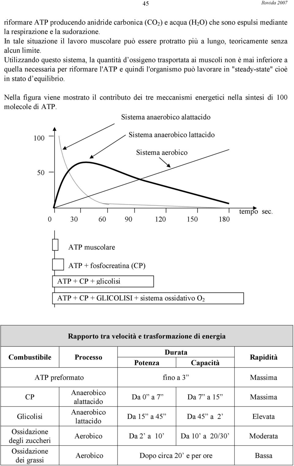 Utilizzando questo sistema, la quantità d ossigeno trasportata ai muscoli non è mai inferiore a quella necessaria per riformare l'atp e quindi l'organismo può lavorare in "steady-state" cioè in stato