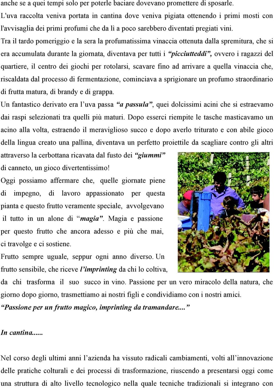 Tra il tardo pomeriggio e la sera la profumatissima vinaccia ottenuta dalla spremitura, che si era accumulata durante la giornata, diventava per tutti i picciutteddi, ovvero i ragazzi del quartiere,