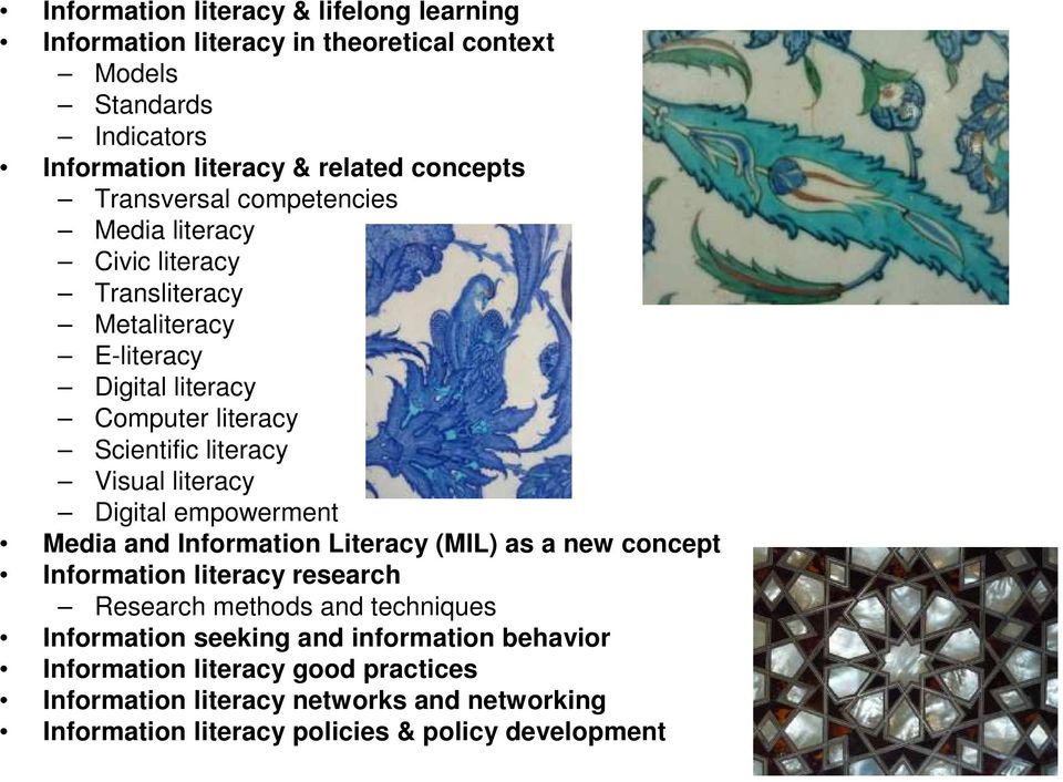 literacy Digital empowerment Media and Information Literacy (MIL) as a new concept Information literacy research Research methods and techniques Information