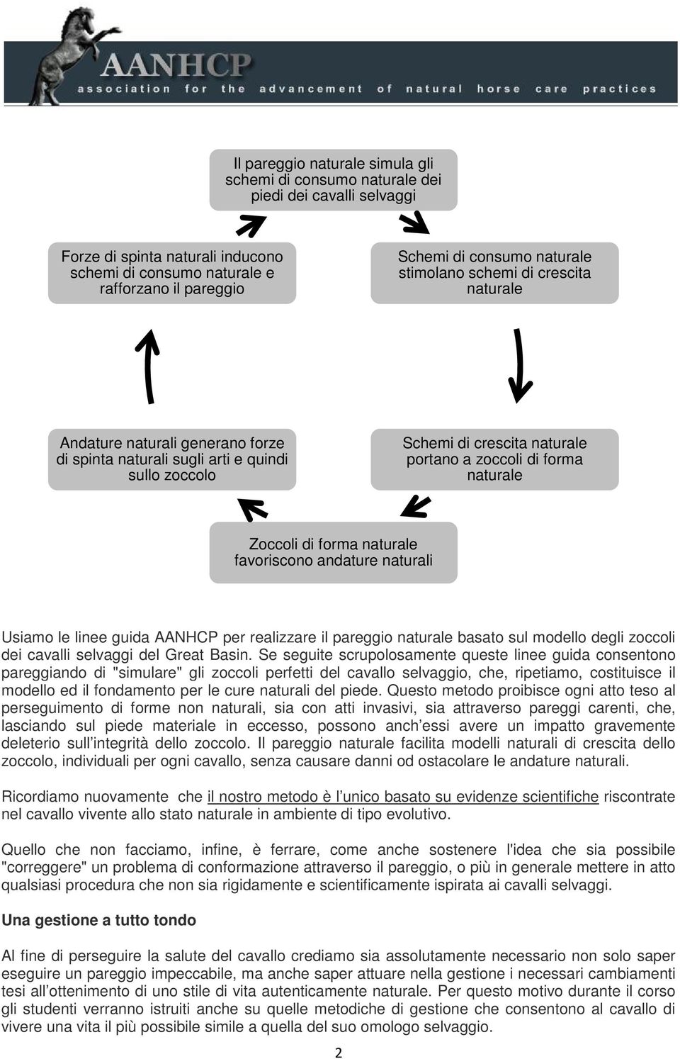 Zoccoli di forma naturale favoriscono andature naturali Usiamo le linee guida AANHCP per realizzare il pareggio naturale basato sul modello degli zoccoli dei cavalli selvaggi del Great Basin.