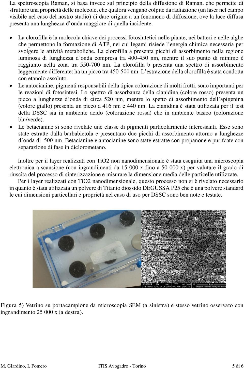 La clorofilla è la molecola chiave dei processi fotosintetici nelle piante, nei batteri e nelle alghe che permettono la formazione di ATP, nei cui legami risiede l energia chimica necessaria per