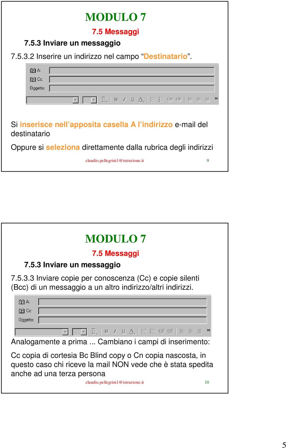 pellegrini1@istruzione.it 9 7.5.3.3 Inviare copie per conoscenza (Cc) e copie silenti (Bcc) di un messaggio a un altro indirizzo/altri indirizzi.