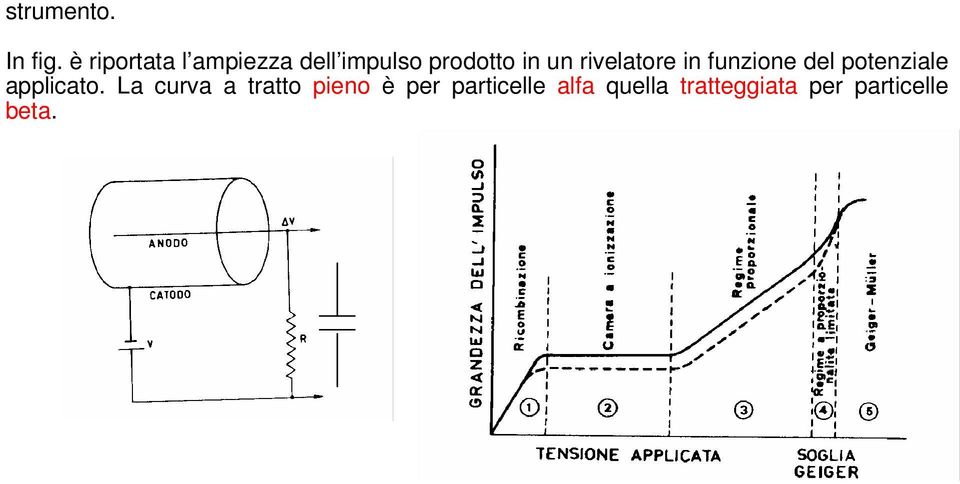 rivelatore in funzione del potenziale applicato.