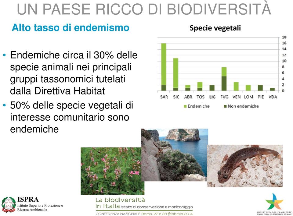 gruppi tassonomici i tutelati t ti dalla Direttiva Habitat 50%