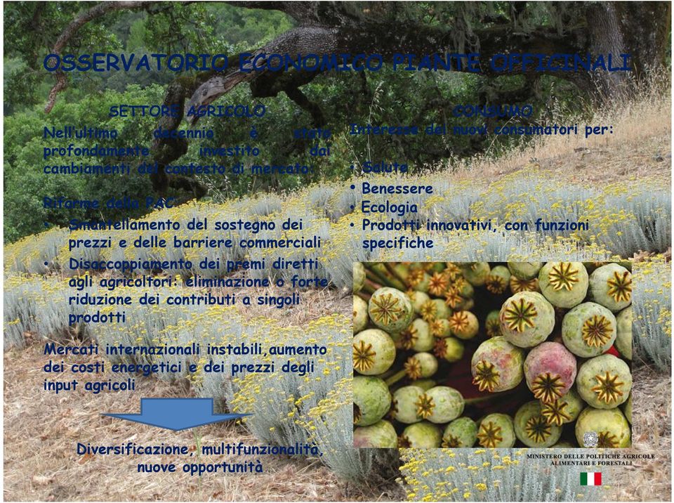 forte riduzione dei contributi a singoli prodotti CONSUMO Interesse dei nuovi consumatori per: Salute Benessere Ecologia Prodotti innovativi, con funzioni