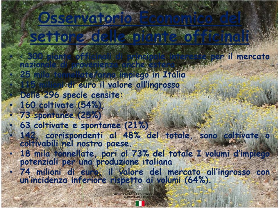 63 coltivate e spontanee (21%) 142, corrispondenti al 48% del totale, sono coltivate o coltivabili nel nostro paese.