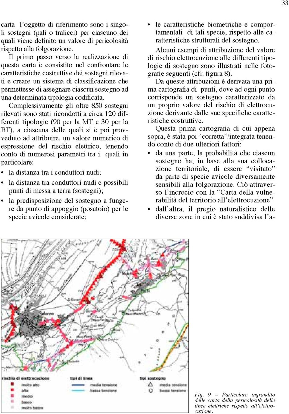 assegnare ciascun sostegno ad una determinata tipologia codificata.