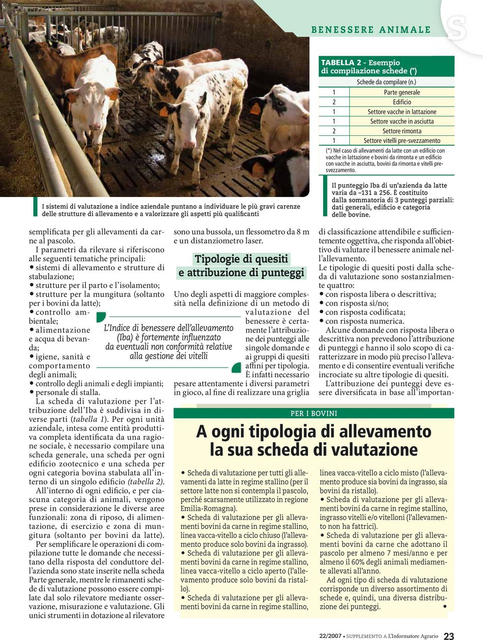 vacche in lattazione e bovini da rimonta e un edificio con vacche in asciutta, bovini da rimonta e vitelli presvezzamento.