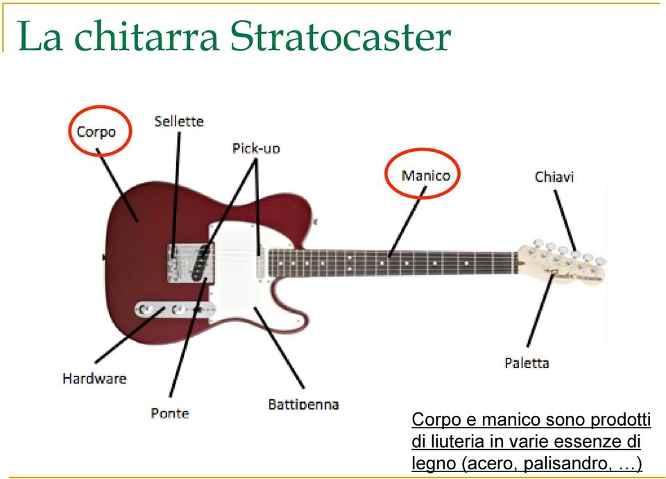 di liuteria in varie essenze