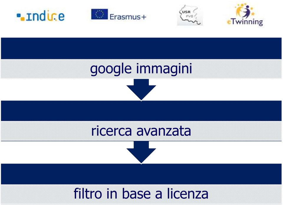 ricerca avanzata Customize