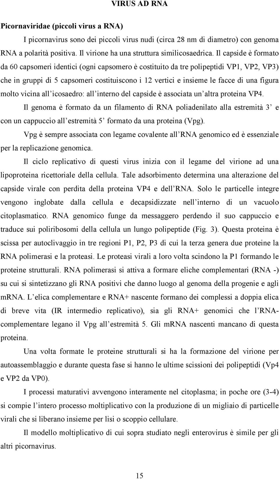 molto vicina all icosaedro: all interno del capside è associata un altra proteina VP4.