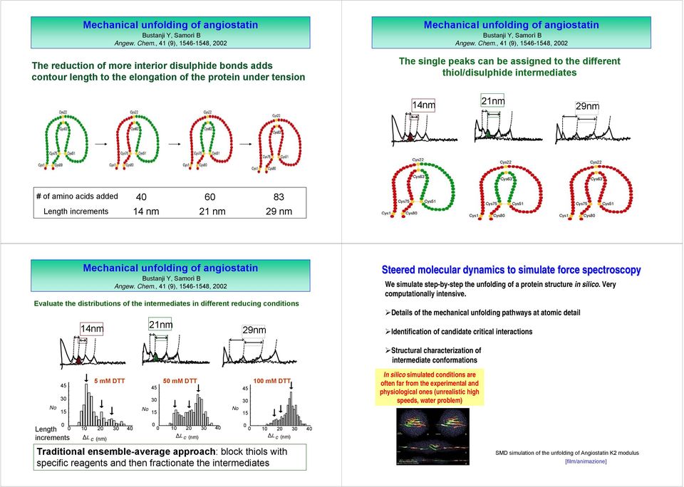 to the different thiol/disulphide intermediates 14nm 21nm 29nm # of amino acids added 40 60 83 Length increments 14 nm 21 nm 29 nm , 41 (9), 1546-1548, 2002 Evaluate the distributions of the