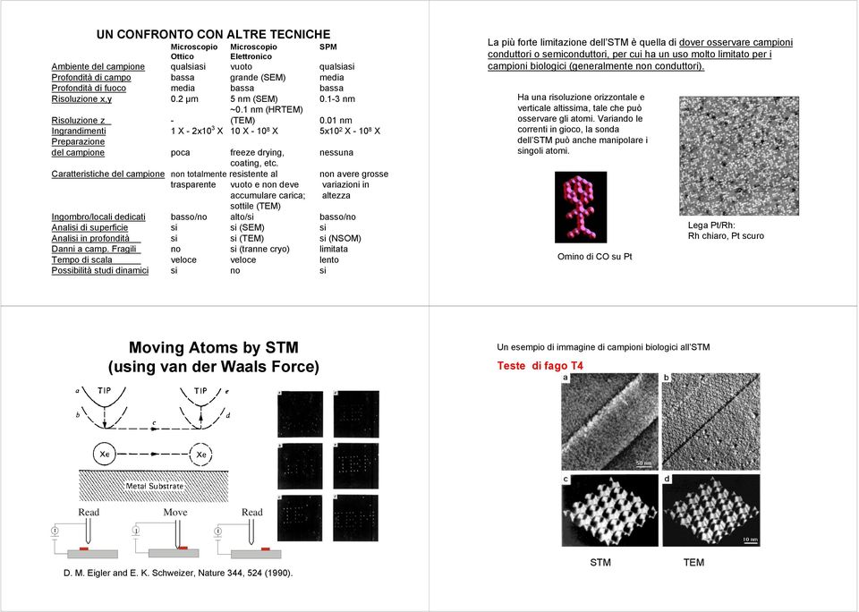 01 nm Ingrandimenti 1 X - 2x10 3 X 10 X - 10 8 X 5x10 2 X - 10 8 X Preparazione del campione poca freeze drying, nessuna coating, etc.
