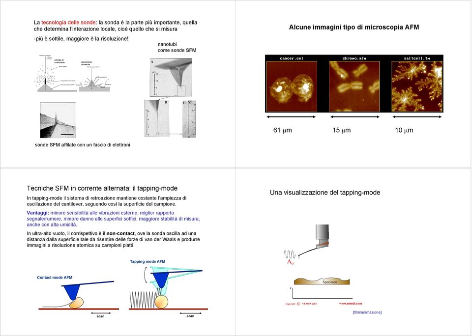 sistema di retroazione mantiene costante l ampiezza di oscillazione del cantilever, seguendo così la superficie del campione.