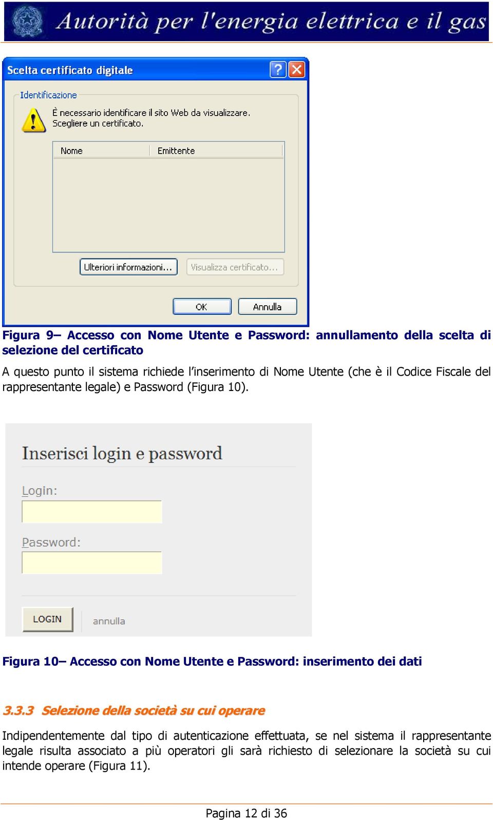Figura 10 Accesso con Nome Utente e Password: inserimento dei dati 3.