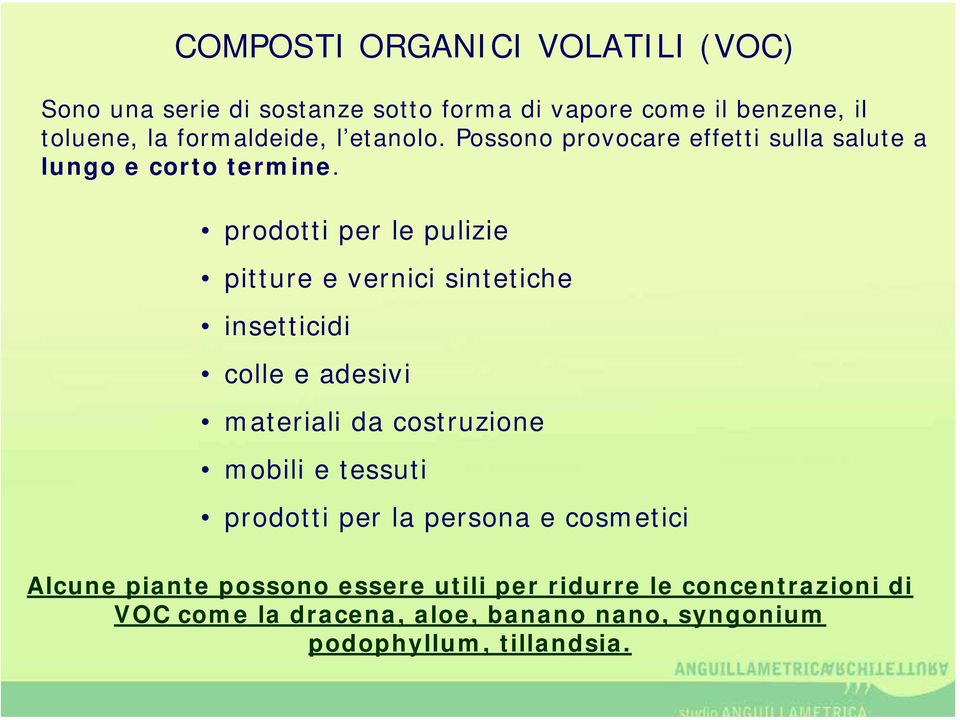 prodotti per le pulizie pitture e vernici sintetiche insetticidi colle e adesivi materiali da costruzione mobili e tessuti