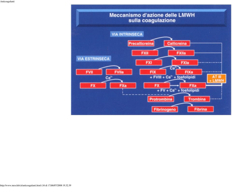 it/anticoagulanti.